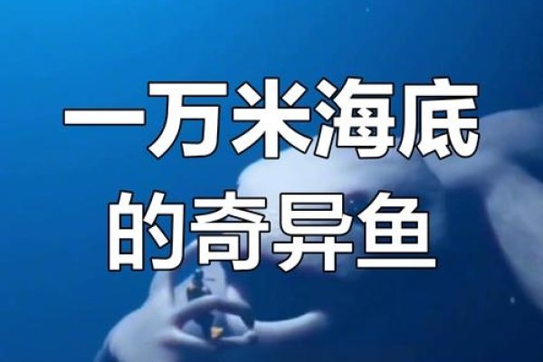 沉没于未知海洋的大鱼，究竟藏了多少秘密？-新乐天