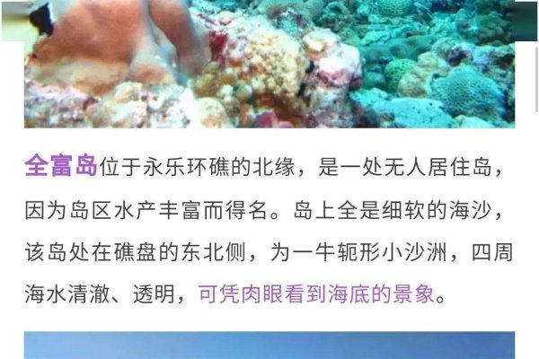 处女座的旅途，探索自我与世界的奇妙旅程-新乐天