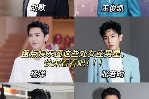 处女座明星，完美主义者的璀璨星光-新乐天