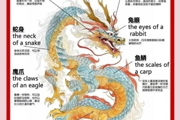长生不死生肖解读，龙文化符号，寓意永恒不朽-新乐天