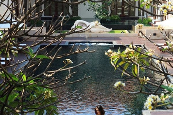 春色破晓明的生肖—探寻生肖与自然的和谐之美-新乐天