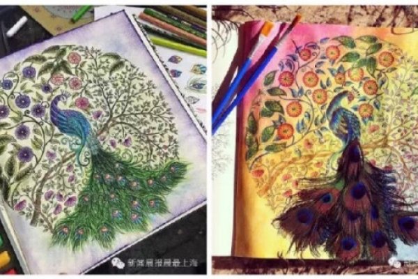 出神入化的生肖奥秘-新乐天