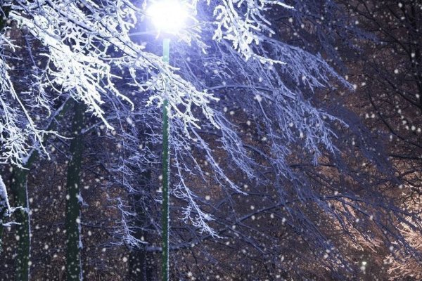 初雪的温柔，冬日里最纯净的仪式-新乐天