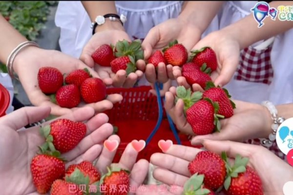 草莓视频，多彩生活，无限乐趣-新乐天
