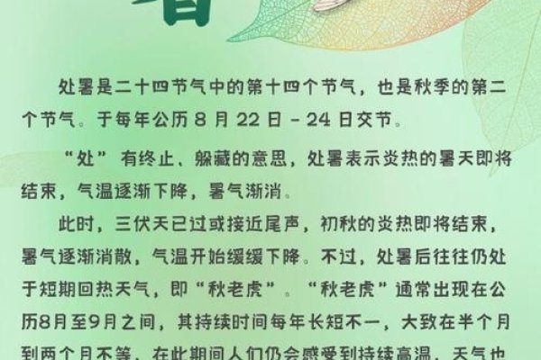 处暑是什么意思？-新乐天