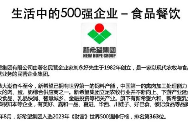 创新引领未来，XYZ食品公司的品牌崛起之路-新乐天