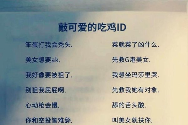 吃鸡战场上最独特嘲讽力的名字-新乐天