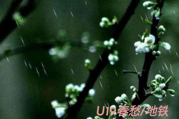 春雨如丝猜一生肖-新乐天