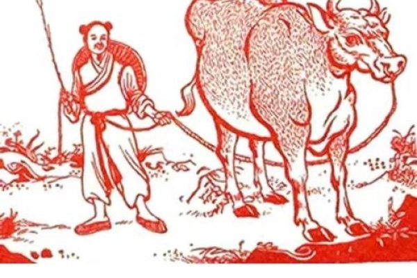 春雨如油，贵似生肖—牛-新乐天