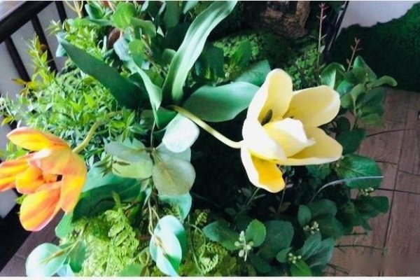 创意生活馆，开启全新灵感之旅-新乐天