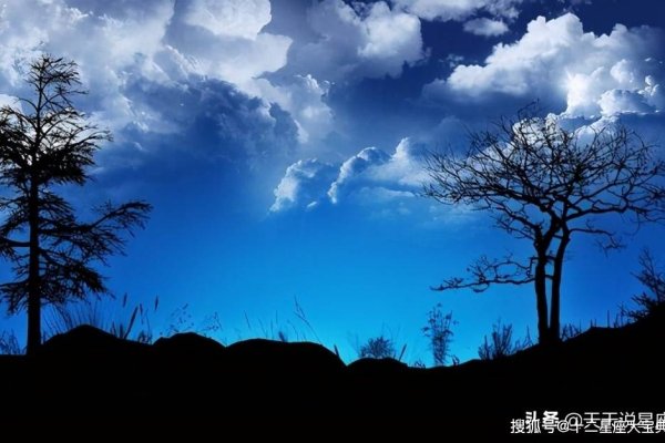 朝云暮雨映生肖—探寻生肖中的神秘面纱-新乐天