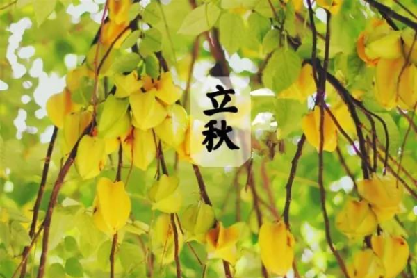 东北立秋的饮食习俗,品味咬秋的独特魅力-新乐天