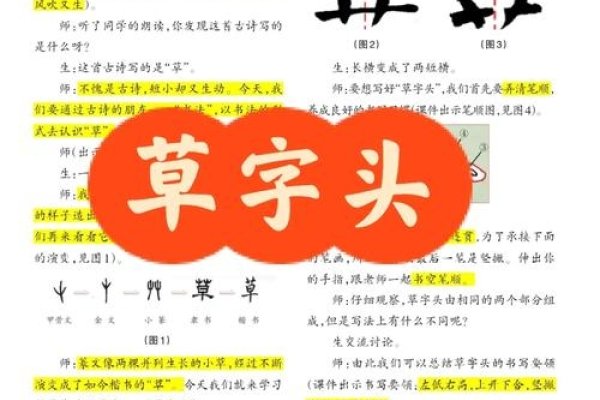 带草字头的字，书写中的奇妙魔法-新乐天