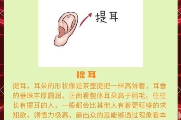 大耳朵与福气,文化传承还是科学误区?-新乐天