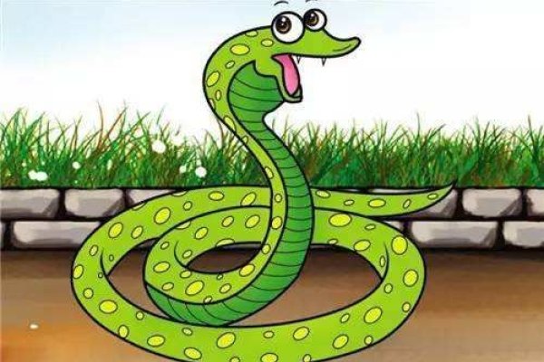 灯红酒绿映生肖—醉舞蛇影映繁华-新乐天