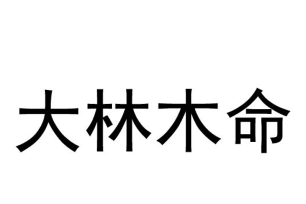 大林木命的含义与解读-新乐天