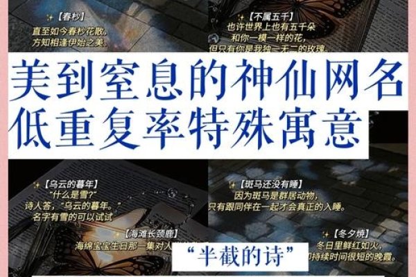 大气的网名，跨越时空的意象载体-新乐天