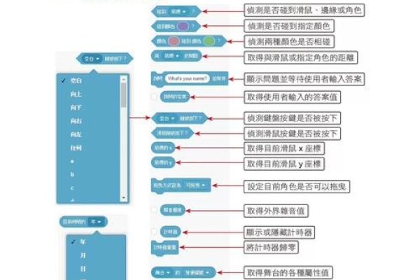 电脑公司起名大揭秘，从创意到成功的全流程指南-新乐天