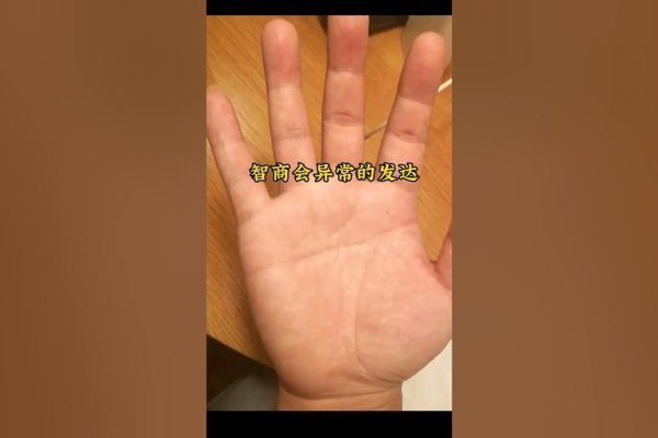 断掌纹的男人，命运与个性的交织-新乐天