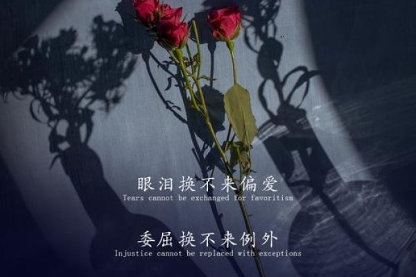 当泪痕爬上心口，或是心底悄然发芽，悲伤便成了别样温柔-新乐天