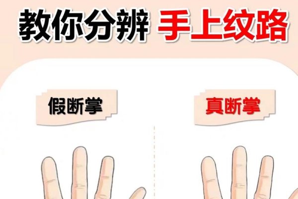 断掌,是否值得追求的终极考量-新乐天