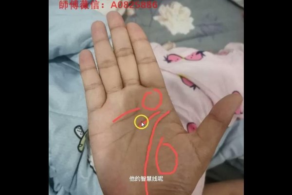 断掌纹与命运解读-新乐天