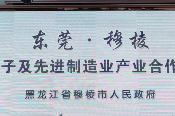 东莞，一场以线上共话为纽带，开启的智领未来之旅-新乐天