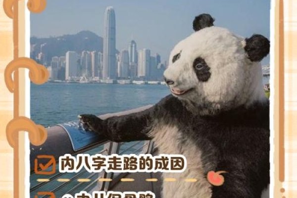 大熊猫走路为何内八字-新乐天