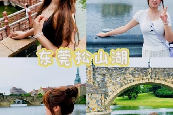 东莞阳光交友网，开启心灵探索之旅-新乐天