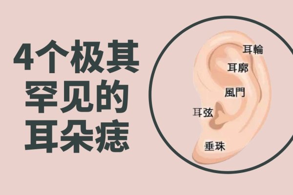 耳朵长痣面相图，解读你不可忽视的听觉秘密-新乐天
