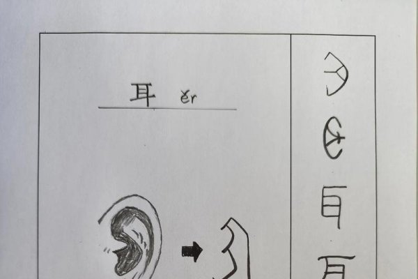 耳朵大有福气，传统文化中的象征意义与现代解读-新乐天