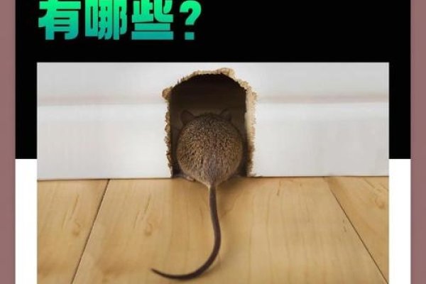 恶贯满盈,生肖鼠的罪与罚-新乐天