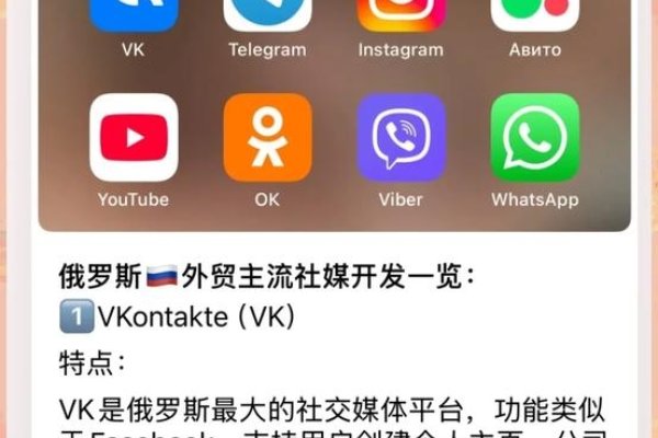 俄罗斯交友网站,跨越国界的社交新篇章-新乐天