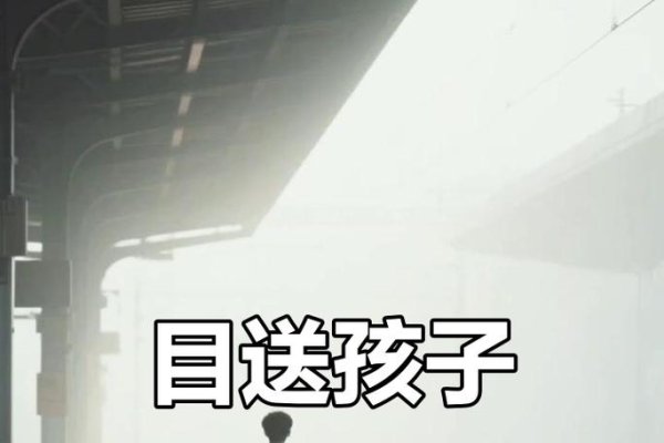 儿子等你爸走了，我们继续前行-新乐天