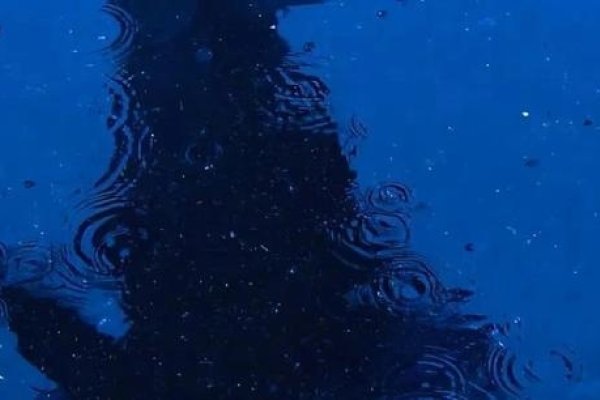 二字网名，干净利落，简约之美-新乐天