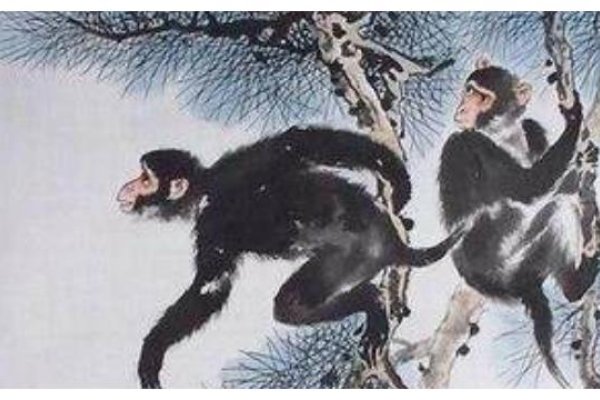 佛海无边映生肖—探寻生肖之猴的奥秘-新乐天