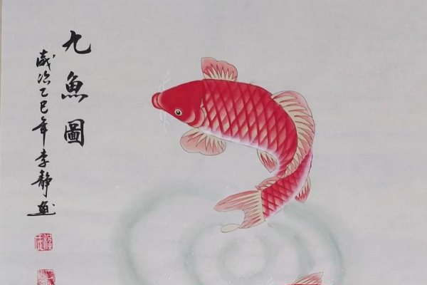 风水图解，九鱼寓意吉祥风水画，招财选佳居-新乐天