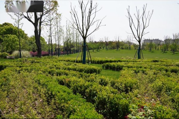 风水宝地生肖探秘-新乐天