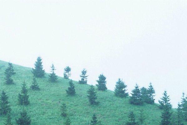 非主流相册名，打破传统，探索多元之境-新乐天