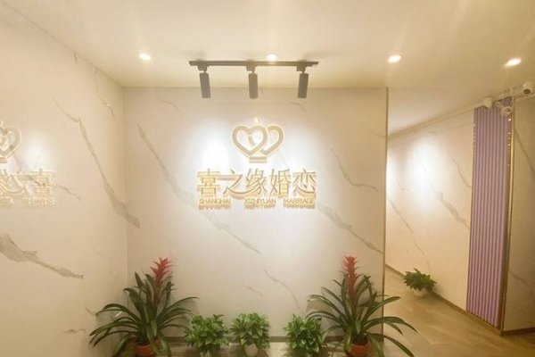 高端婚介所，点亮婚姻新坐标站-新乐天