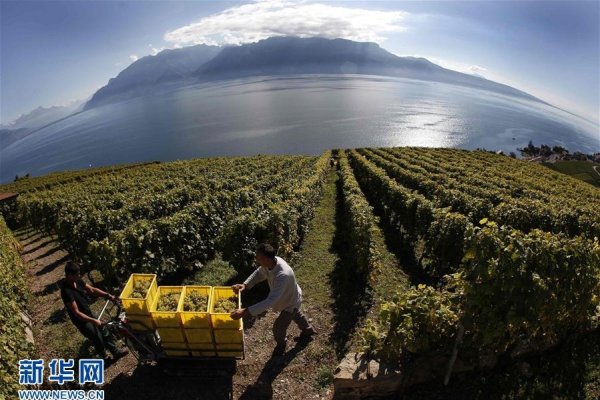 国际山岳日，12月11日的全球行动-新乐天