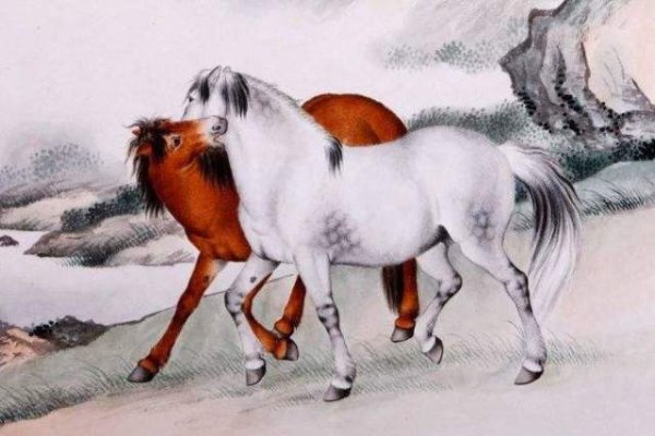 过目不忘其英姿的生肖—马-新乐天