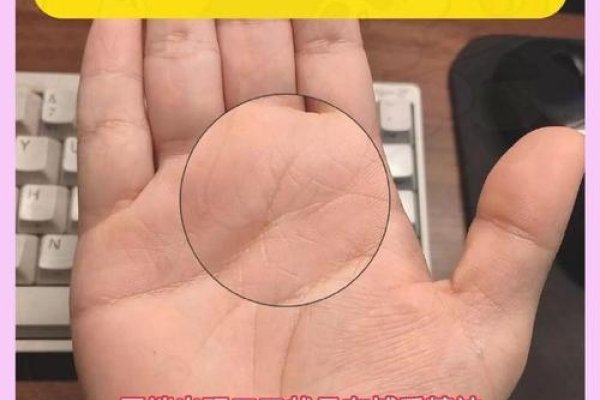 感情线分叉，跨越爱与孤独的密码-新乐天