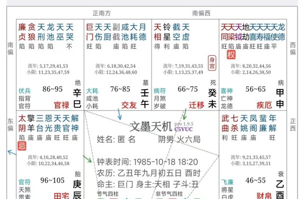 个人命盘详解免费版-新乐天