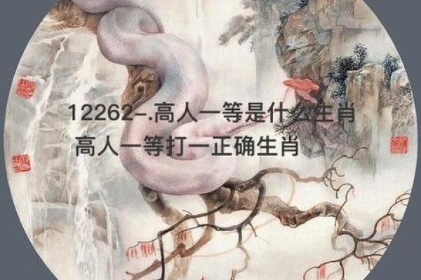 高人一等生肖-新乐天