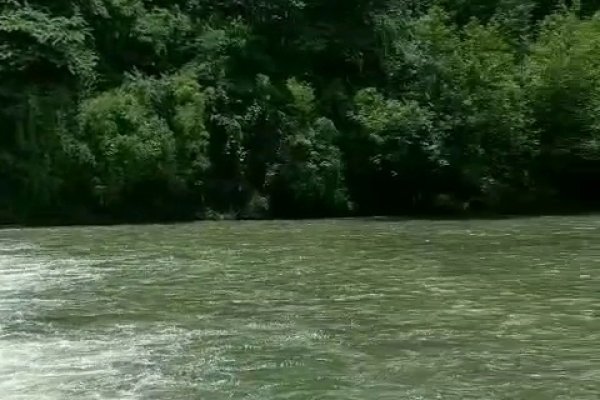 高山绿水与生肖之谜-新乐天