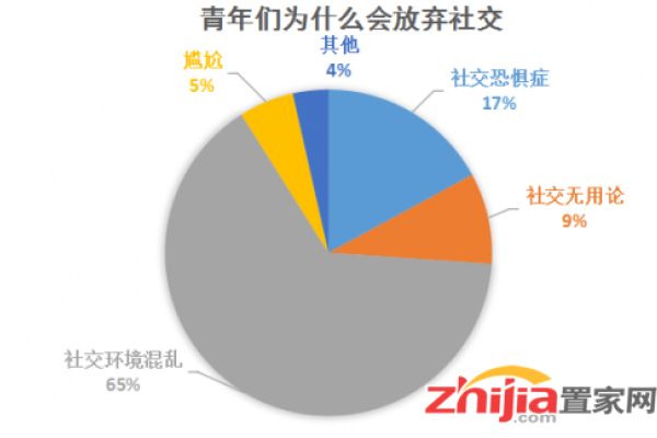 国外交友网，开启多元社交新体验-新乐天