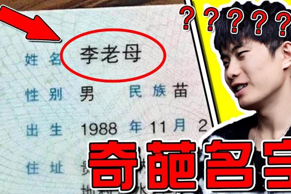 搞笑的名字，那些让人忍俊不禁的姓名趣事-新乐天