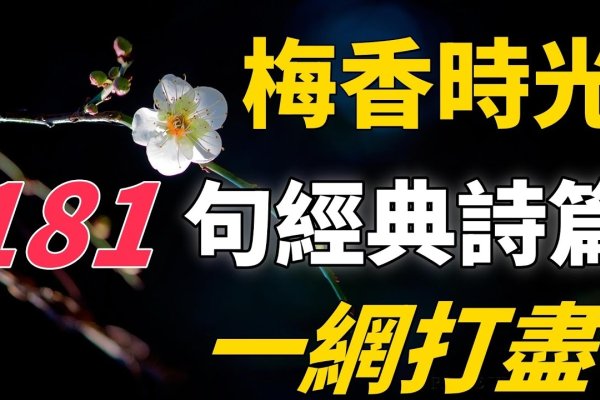 高雅大气名，墨梅幽香、琴瑟和鸣-新乐天