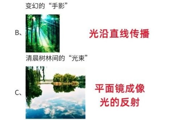 光丽的意思，探索美丽与光明的深层联系-新乐天